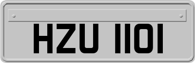 HZU1101