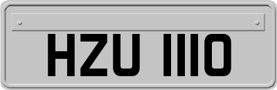HZU1110