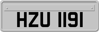 HZU1191