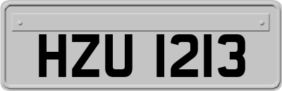 HZU1213