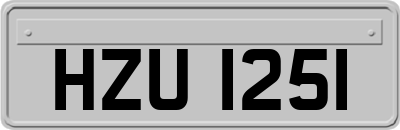 HZU1251