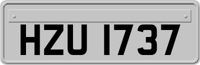 HZU1737