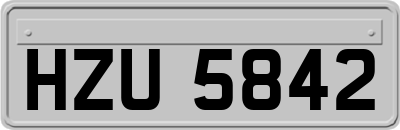 HZU5842