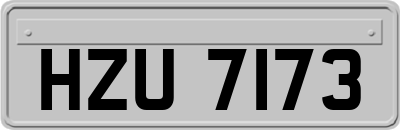 HZU7173
