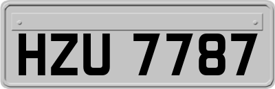 HZU7787