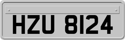 HZU8124