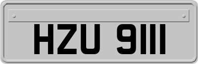HZU9111