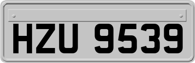 HZU9539