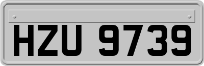 HZU9739