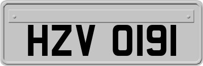 HZV0191