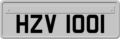 HZV1001