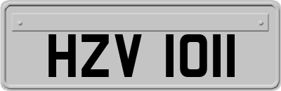 HZV1011