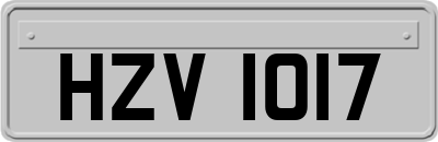 HZV1017