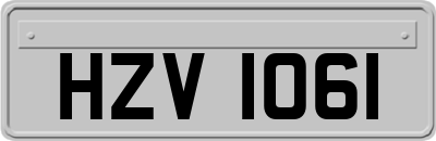 HZV1061