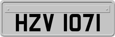 HZV1071