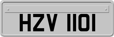 HZV1101