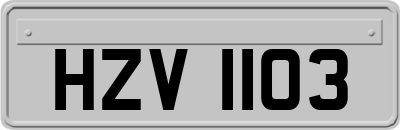 HZV1103