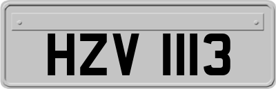HZV1113
