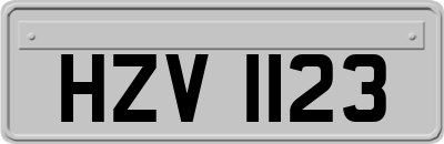 HZV1123