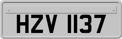 HZV1137