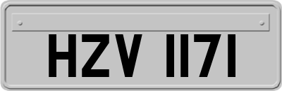 HZV1171