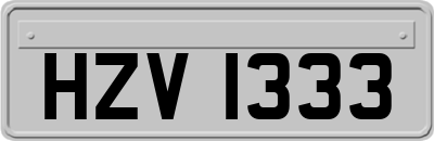 HZV1333