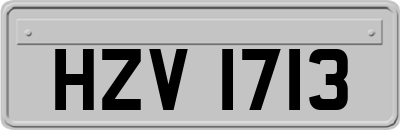 HZV1713