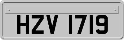 HZV1719