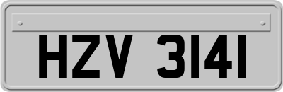 HZV3141