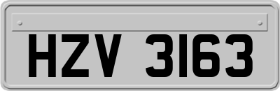 HZV3163