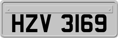 HZV3169