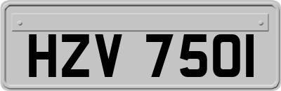 HZV7501