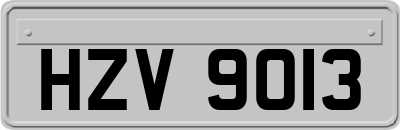 HZV9013