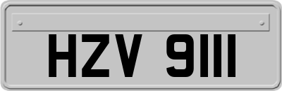 HZV9111