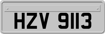 HZV9113