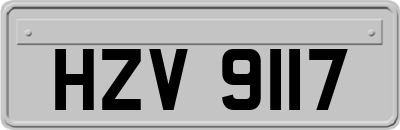 HZV9117