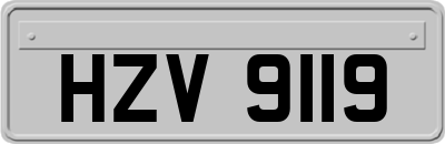 HZV9119