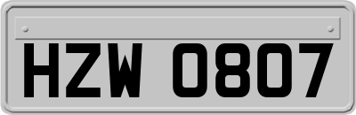 HZW0807