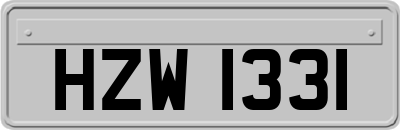 HZW1331