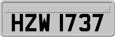 HZW1737