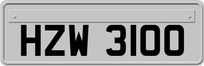 HZW3100