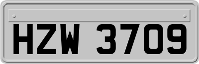 HZW3709