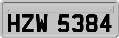 HZW5384
