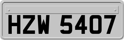 HZW5407