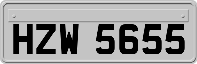 HZW5655