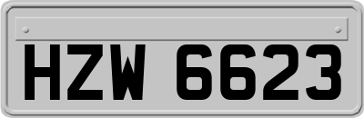 HZW6623
