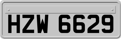 HZW6629