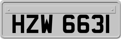 HZW6631