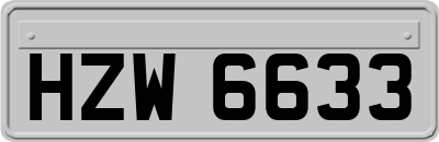 HZW6633