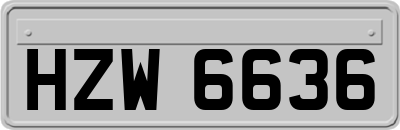 HZW6636